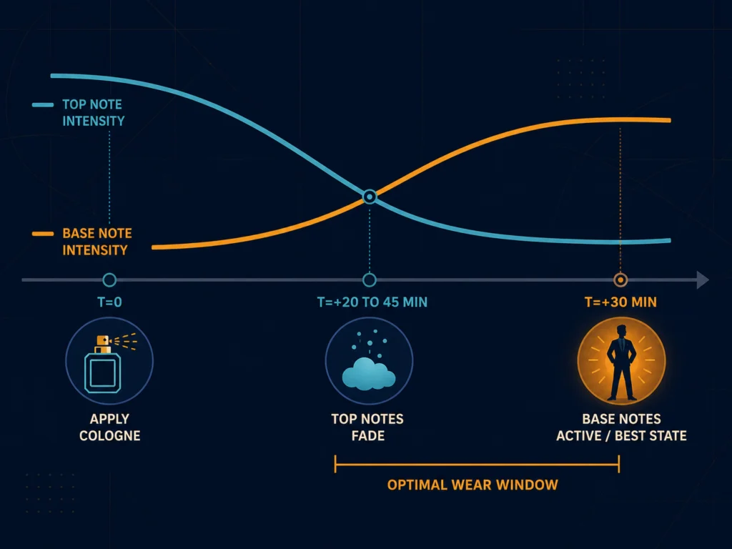 Flat timeline illustration showing cologne application 30 minutes before an event, with top notes evaporating and base notes developing, represented as a horizontal timeline on dark background