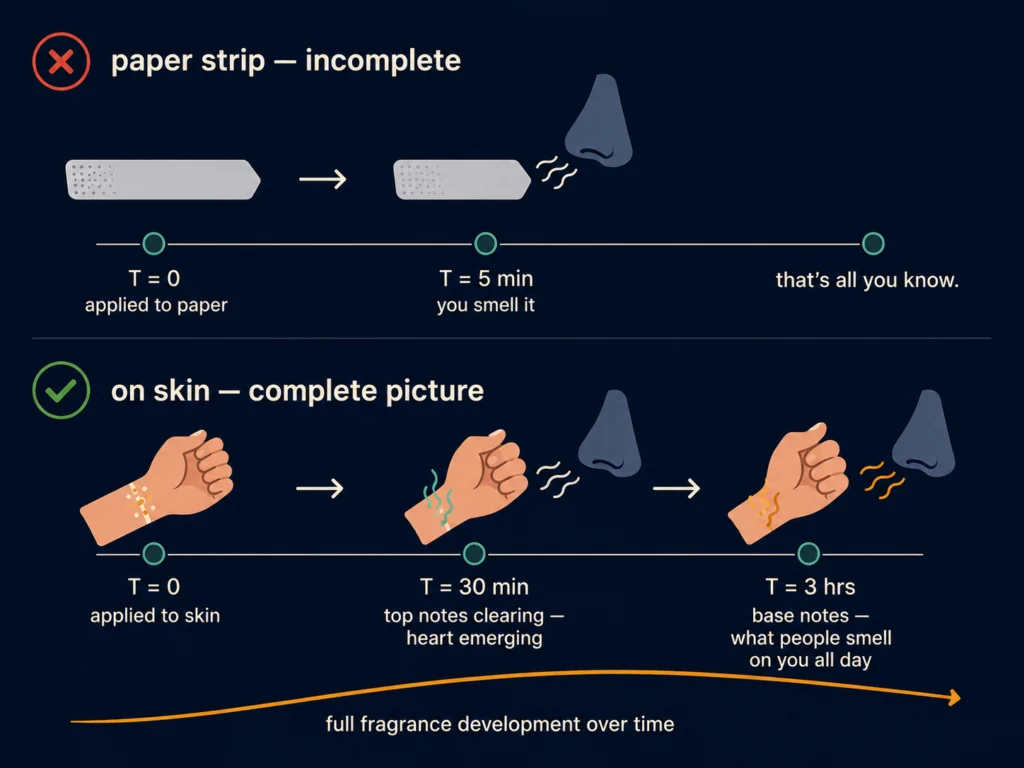 Flat timeline illustration showing the correct cologne testing method with checkpoints at 30 minutes and 3 hours on skin, contrasted with the incorrect method of testing on a paper strip, dark background, Kurzgesagt style