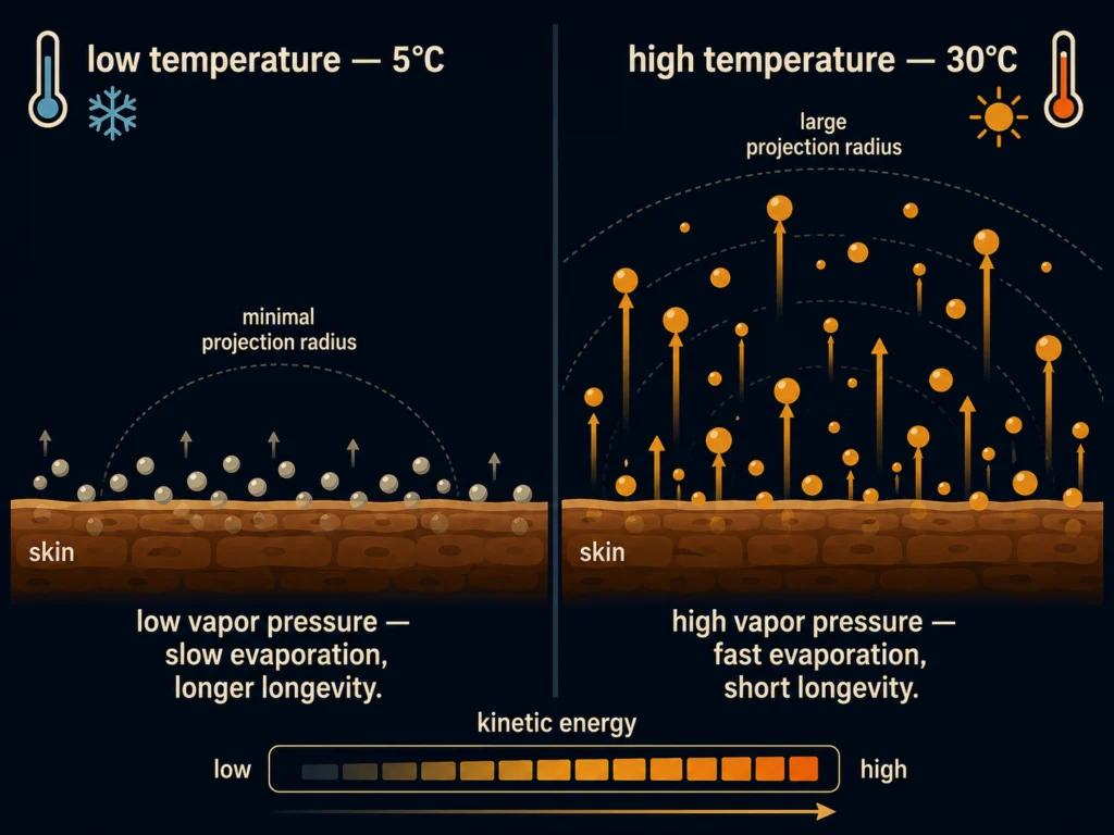Flat physics diagram showing fragrance molecules on a skin surface evaporating faster at high temperature versus slower at low temperature, with kinetic energy arrows and vapor pressure labels, dark background, Kurzgesagt style